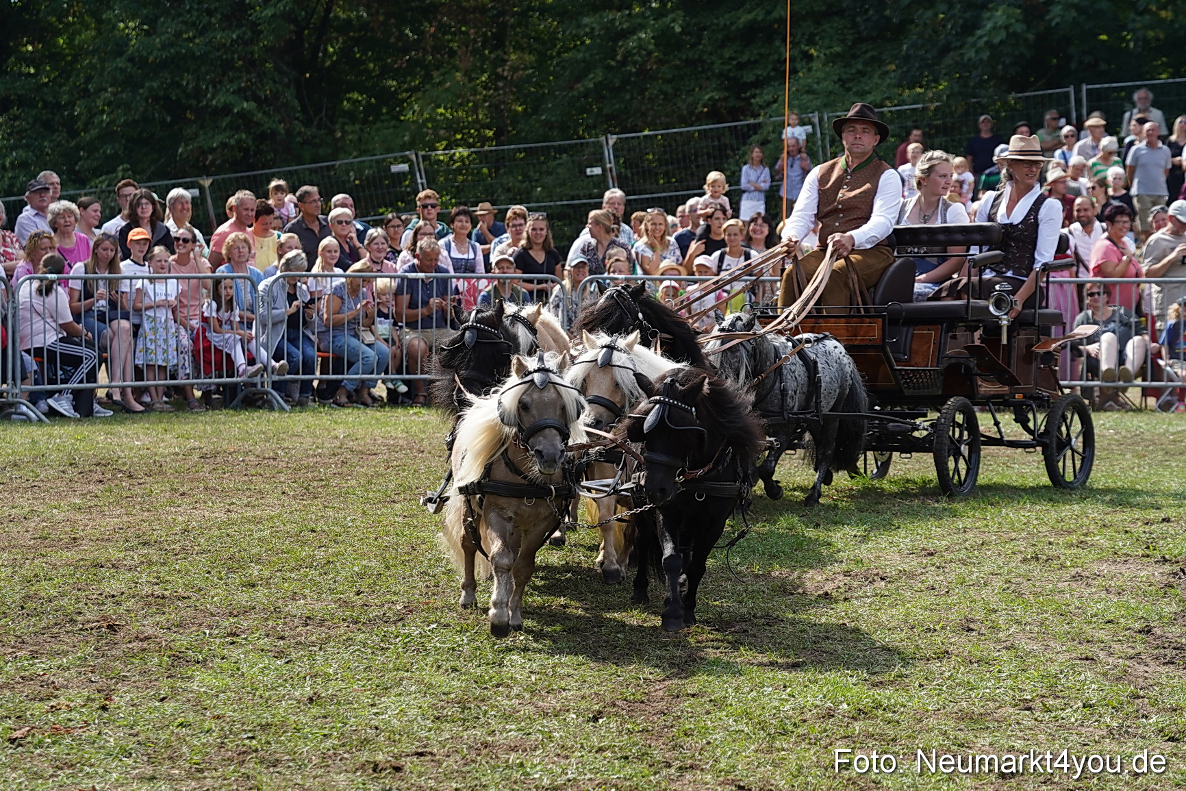 Pferde und Fohlenschau 2022 0287 